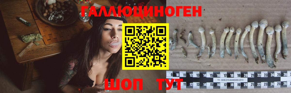 Галлюциногенные грибы Psilocybe  Псилоцибиновые грибы GOLDEN TEACHER  Когалым  что такое наркотик  Вход с VPN 